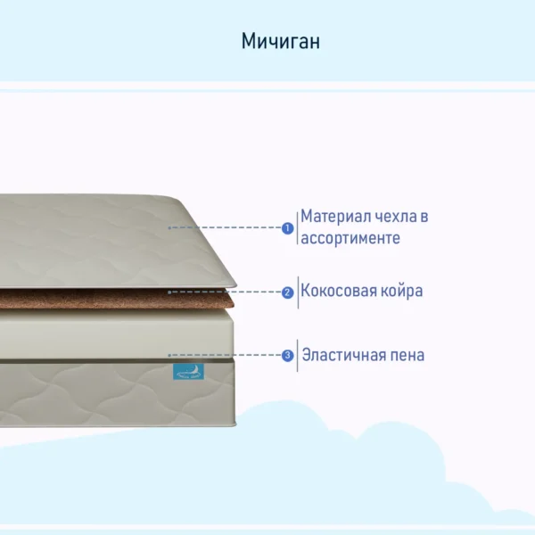 Мичиган
